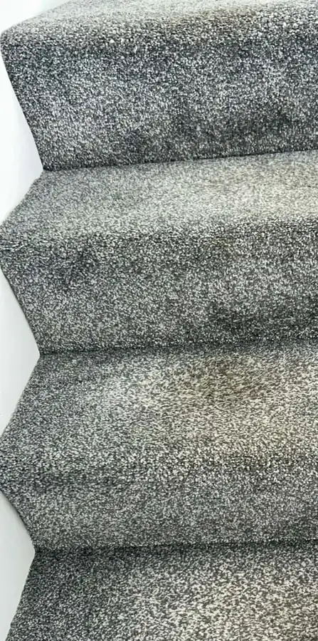 Carpeted stairs before cleaning
