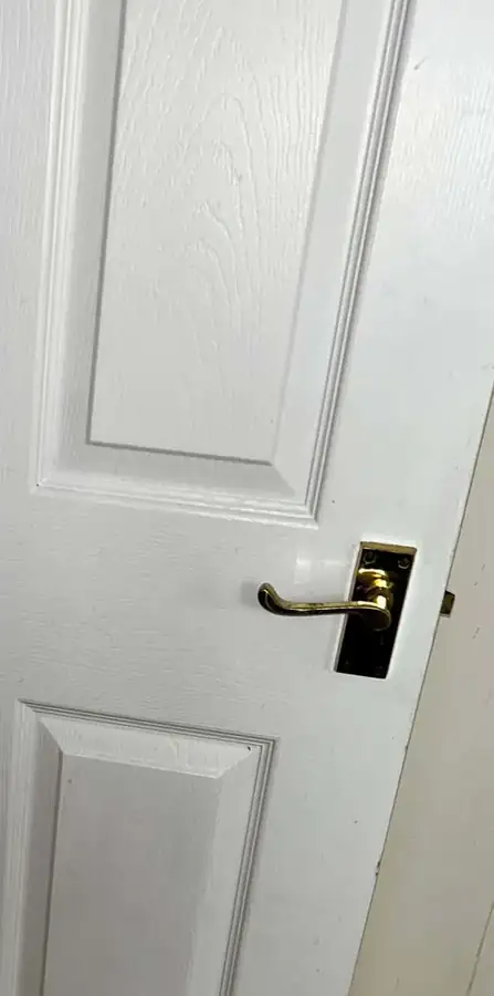 Door and handle after cleaning