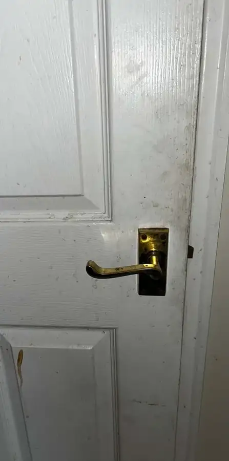 Door and handle before cleaning