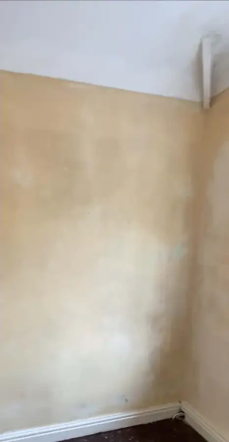 Mould on a bedroom wall after cleaning