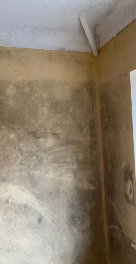 Mould on a bedroom wall before cleaning