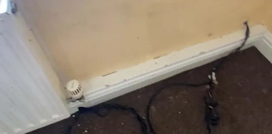 Skirting board after cleaning