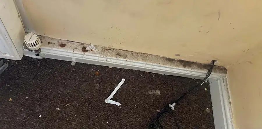 Skirting board before cleaning