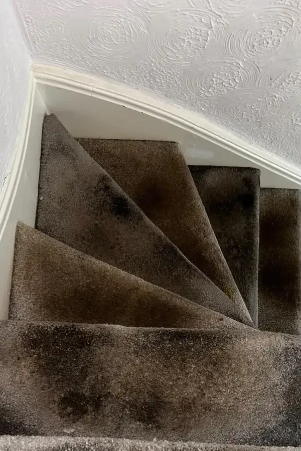 Winding stair carpet before cleaning