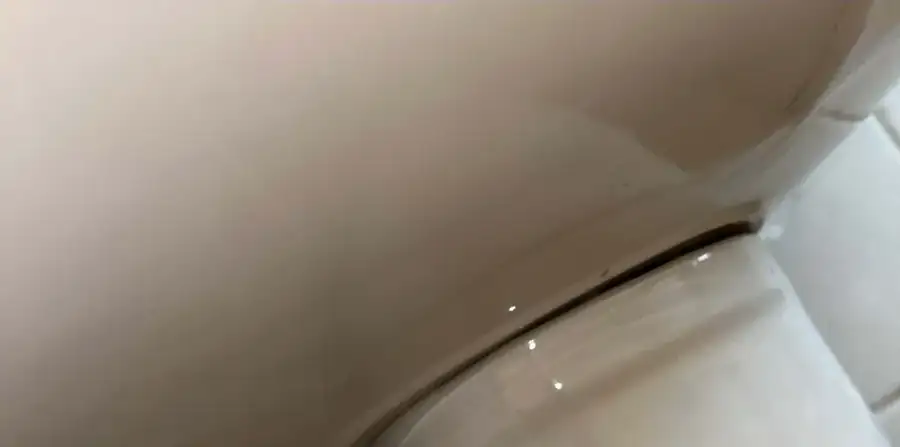 Base of the toilet after cleaning
