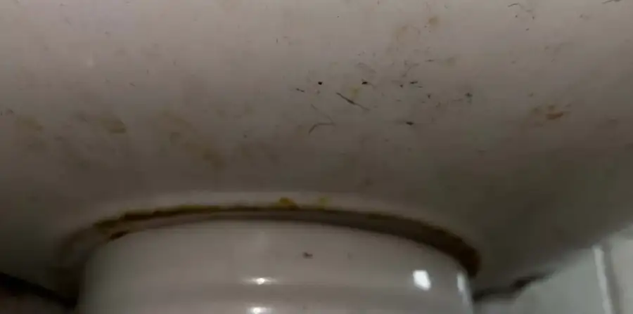 Base of the toilet before cleaning