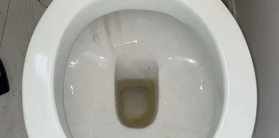 Toilet bowl before cleaning