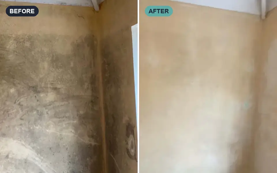 Bedroom wall covered in black mould, before and after specialist cleaning